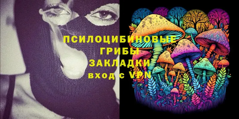 Галлюциногенные грибы Cubensis  Фёдоровский 